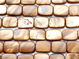 Golden Brown Rectanglar Shell Beads 20mm (SH574)