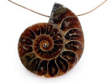 Ammonite Pendant 31mm (AM801)