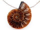 Ammonite Pendant 32mm (AM834)