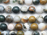Ocean Jasper Round Gemstone Beads 10mm (GS5283)