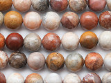 Fossil Coral Agate Round Gemstone Beads 10mm (GS5287)