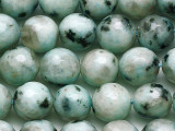 Kiwi Jasper Faceted Round Gemstone Beads 10mm (GS5322)