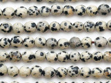 Dalmatian Jasper Round Gemstone Beads 6mm (GS5329)