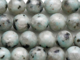 Kiwi Jasper Round Gemstone Beads 10mm (GS5361)