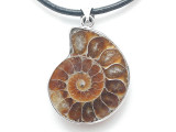 Ammonite Pendant 32mm (AM889)