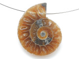 Ammonite Pendant 26mm (AM898)