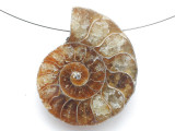 Ammonite Pendant 32mm (AM900)