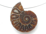 Ammonite Pendant 30mm (AM903)