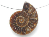 Ammonite Pendant 29mm (AM905)