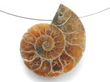 Ammonite Pendant 29mm (AM908)