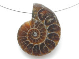 Ammonite Pendant 31mm (AM914)