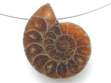 Ammonite Pendant 28mm (AM915)