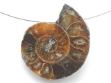 Ammonite Pendant 30mm (AM916)
