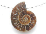 Ammonite Pendant 30mm (AM925)