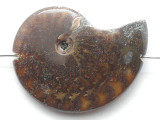 Whole Ammonite Pendant 35mm (AM933)