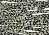 Dalmatian Jasper Round Matte Gemstone Beads 4mm (GS6002)