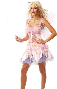 Sexy Fairy Adult Costume