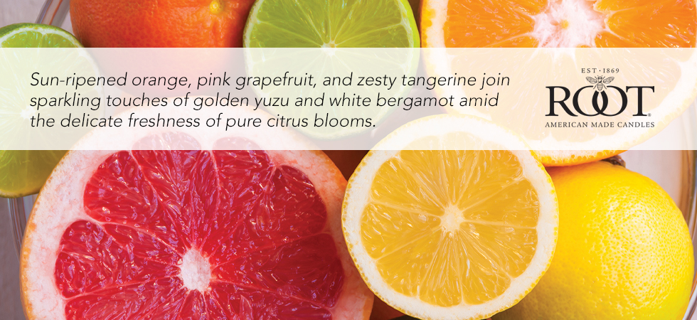 2023-spring-fragrance-citron-bergamot.jpg