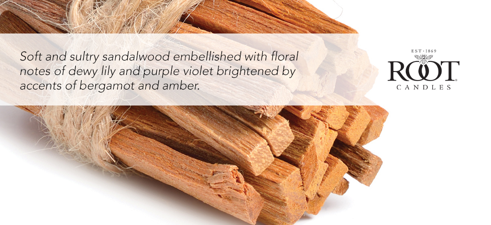 2024-fragrance-description-sandalwood.jpg