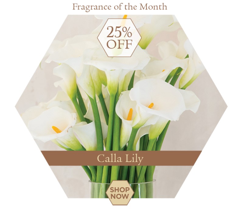 The A. I. Root Company American Made Candles Since 1869 © 2020