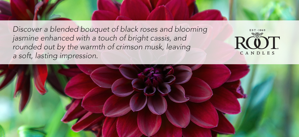 fragrance-description-headers-midnightdahlia.jpg