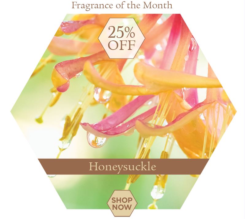 The A. I. Root Company American Made Candles Since 1869 © 2018