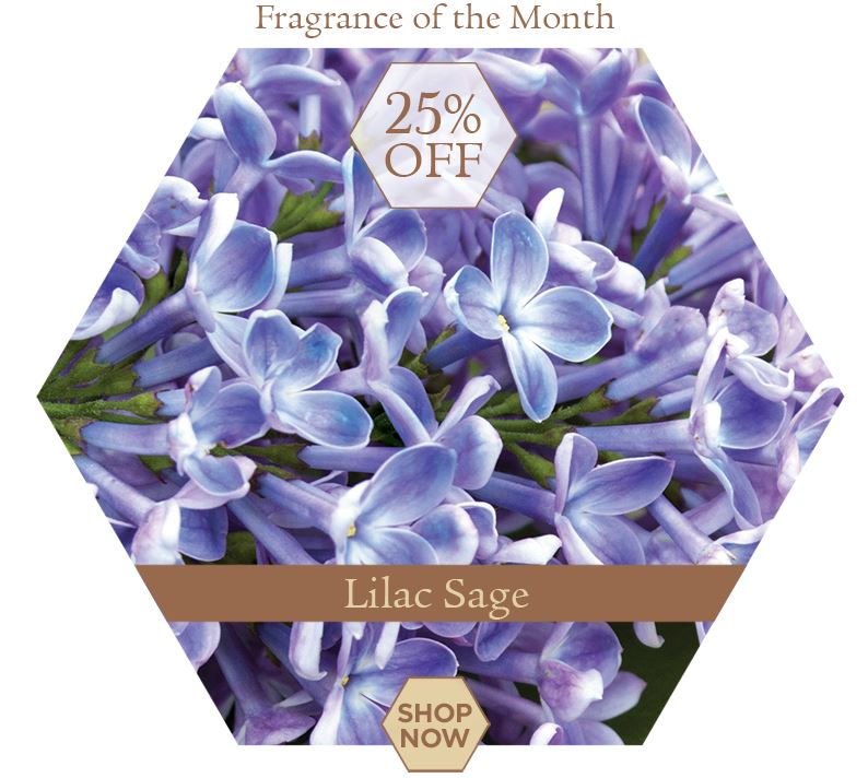 The A. I. Root Company American Made Candles Since 1869 © 2018