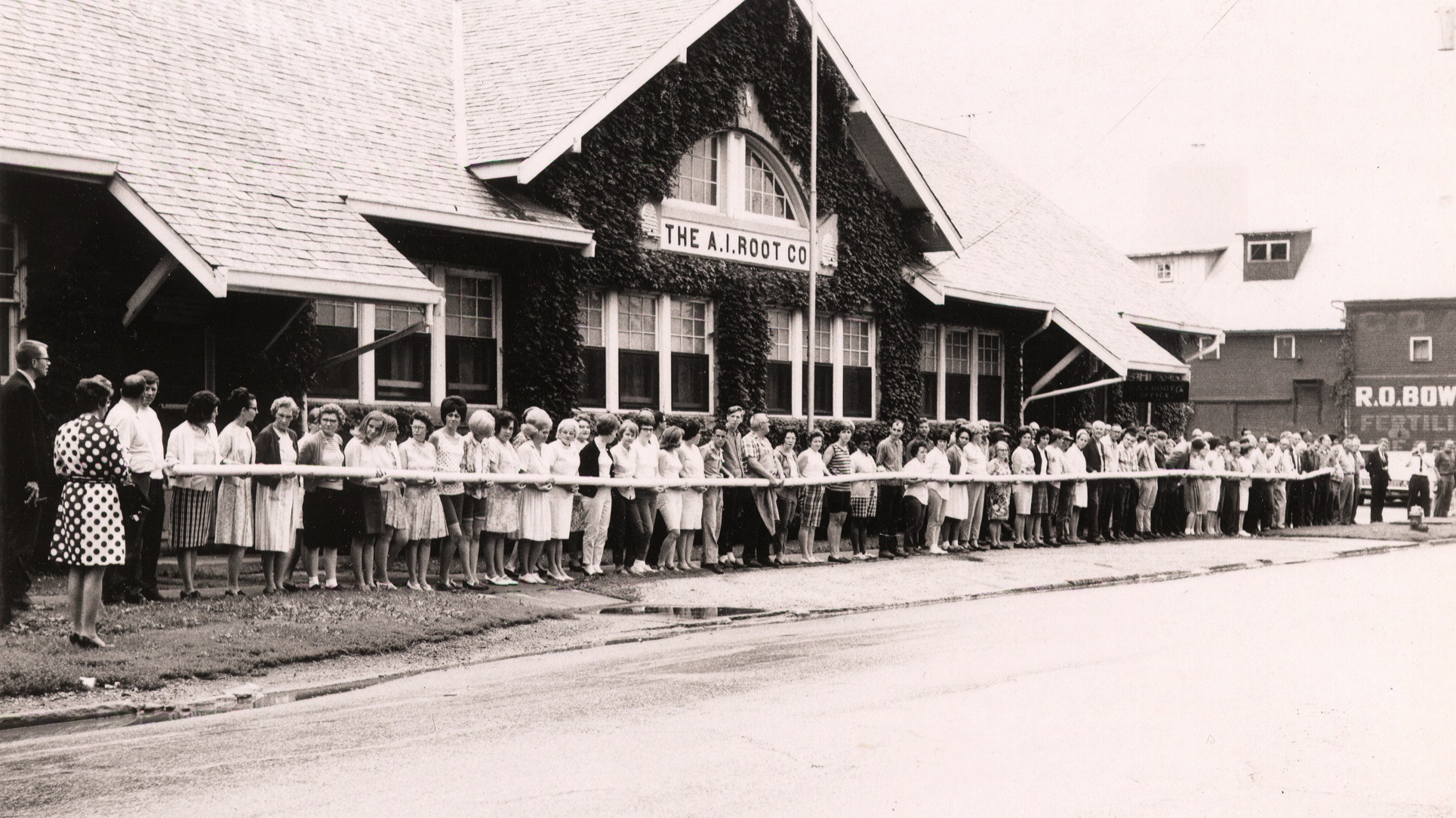 Eleven Facts about Root Candles Root Candles USA