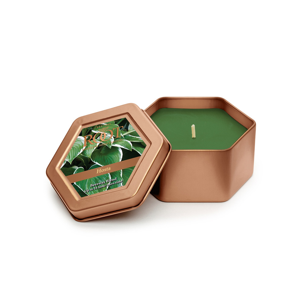 Hosta Honeycomb Traveler - Root Candles USA
