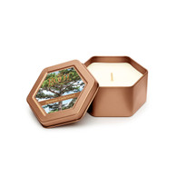 Japanese Cedarwood | Buy Best Scented Candles Online