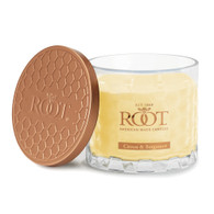 Citron & Bergamot 3 Wick Honeycomb Candle