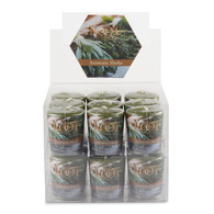 Aromatic Herbs 20 Hour Beeswax Blend Box of 18 Votives