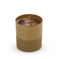 Gingered Gourd 8 oz. Candle