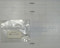 211-7 BALL - STEEL 1/4 DIAMETER