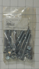 25036 } 250361 SHEAR BOLT