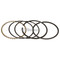 500-769 } Piston Rings +.010 / Kohler 48 108 06
