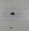 103205 } CABLE PROTECTOR