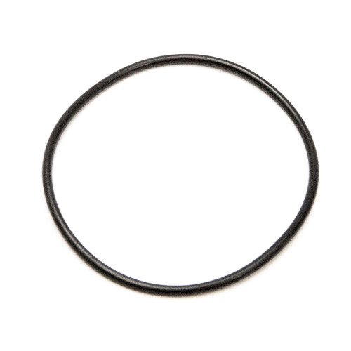 300182 } O-RING - W1000