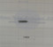 103309 } KEY 3/16 X 3/16 X 13/16"