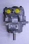PG-1HPC-DY1X-XXXX } PUMP, PG SER
