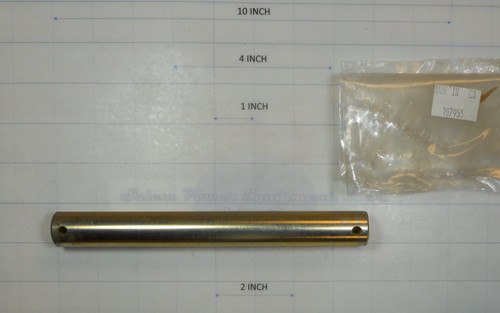 107955 - PIN