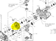 71829 } KIT, 60T BULL GEAR, DIFF