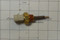 0E2507 } PROBE COOLANT LEVEL 3