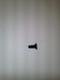 231683-S } SCREW