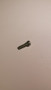 234945-S } SCREW