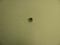 236506-S } BEARING