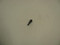20 086 06-S } SCREW: SHD THD FRM
