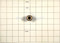 C29044 - PIN