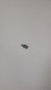 24 086 07-S } SCREW: SOLENOID