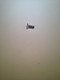 24 086 46-S } SCREW